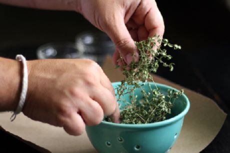 Herbes séchées (basilic et origan)