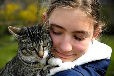 Allergie aux chats