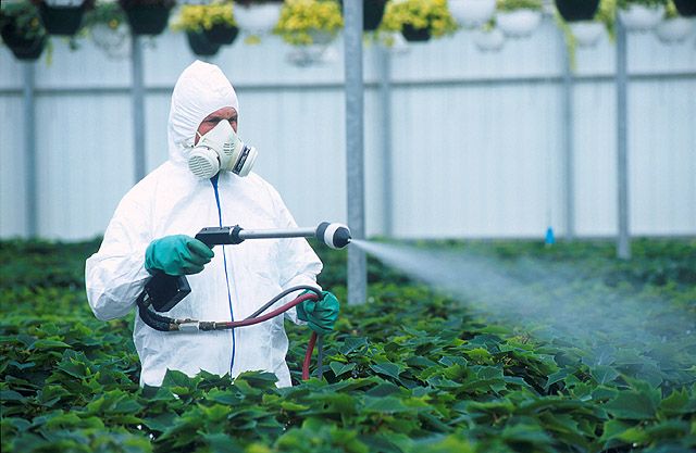 Nanopesticides: une nouvelle solution ou une nouvelle menace? 