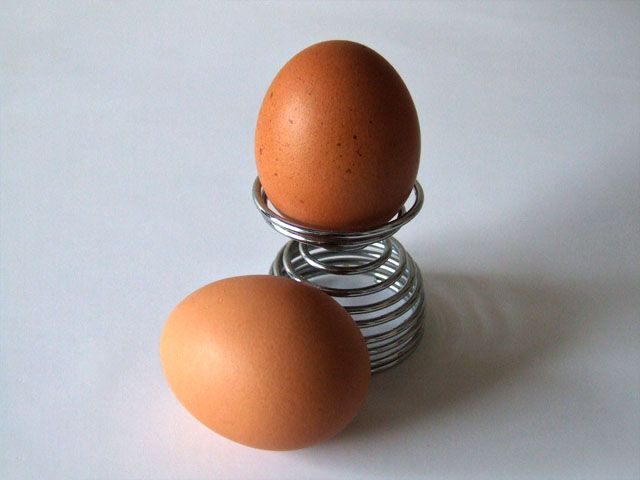 Inconvénients du régime des œufs
