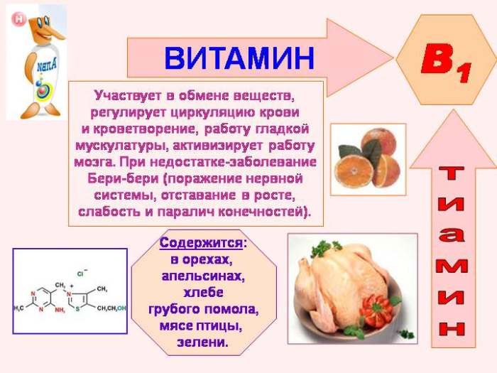 Les propriétés de la vitamine B1