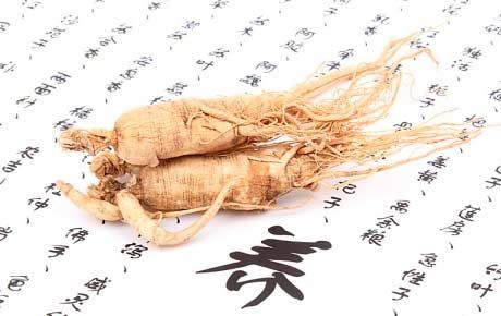 Ginseng pendant la grossesse