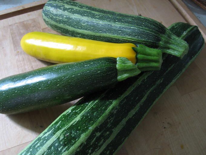 Courgettes.  20 kcal / 100 g.